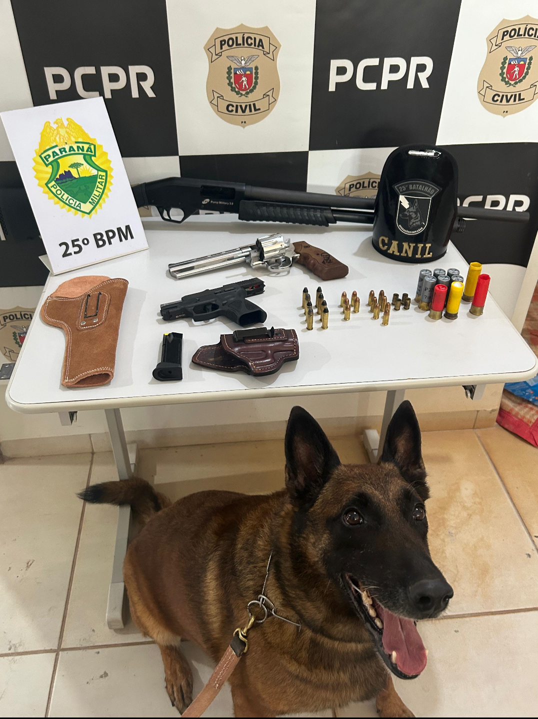 Operação conjunta efetua prisão e apreende armas e drogas em Alto Piquiri