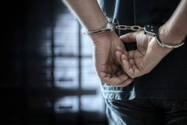 Violência doméstica – desacato – desobediência – resistência: