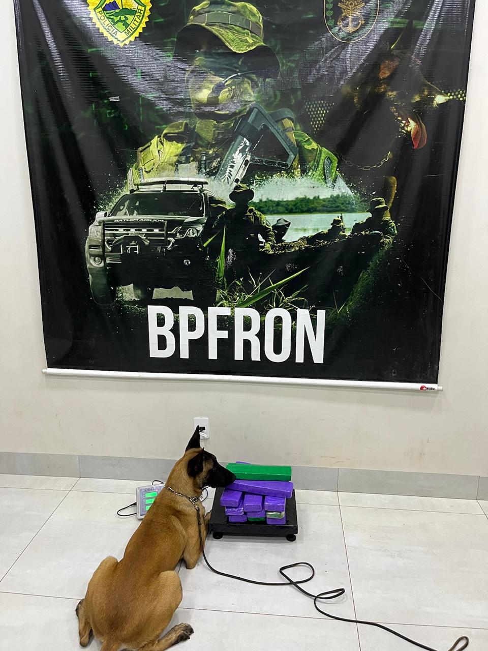 BPFRON PRENDE MULHER POR TRÁFICO DE DROGAS EM ÔNIBUS INTERESTADUAL.