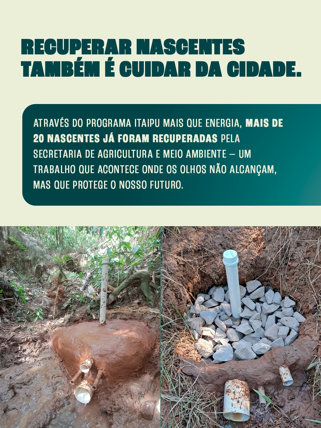 Cafezal do Sul reforça compromisso ambiental com recuperação de mais de 20 nascentes em 202